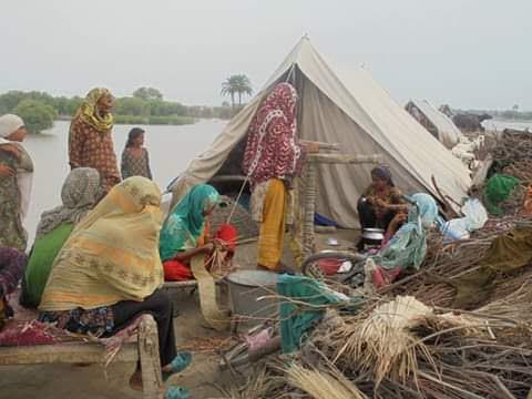 life care humanity foundation